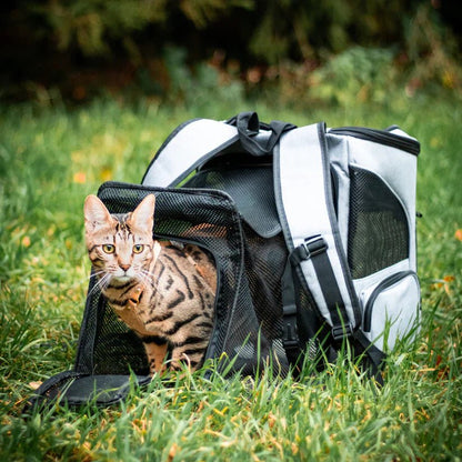 Avelena | Bequemer Katzenrucksack mit Sichtfenster