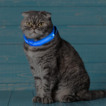 Avelena | Leuchthalsband für Hunde - Blinkendes Hundehalsband