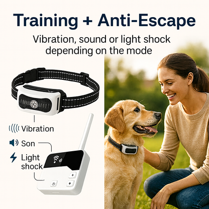 Avelena | Wireless Hundezäun mit Trainingshalsband – 2-in-1 Elektronisches Eingabesystem für sichere Hundebereiche