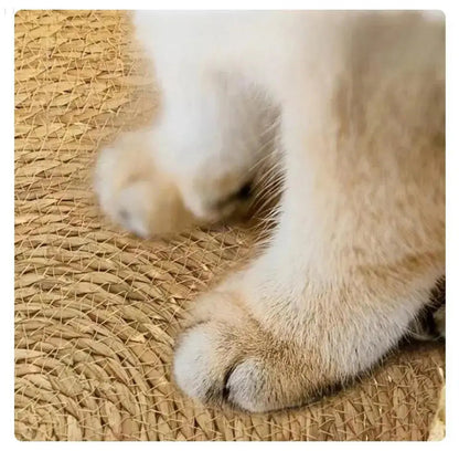 Avelena | Cozypets – Superweiches und gemütliches Katzenbett