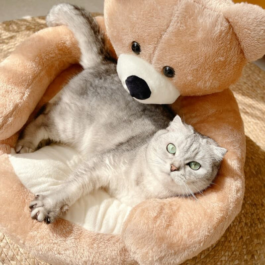 Avelena | Süßes abnehmbares Kuschelbär-Katzenbett