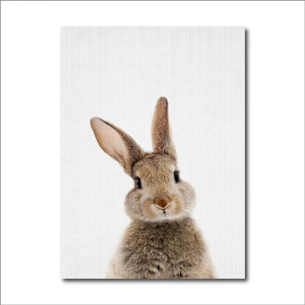 Avelena | Schöne Hasenfotos Fotografie Poster Wandkunst Fine Art Leinwanddruck Baby Tierbilder für Kinderzimmer Wanddekoration