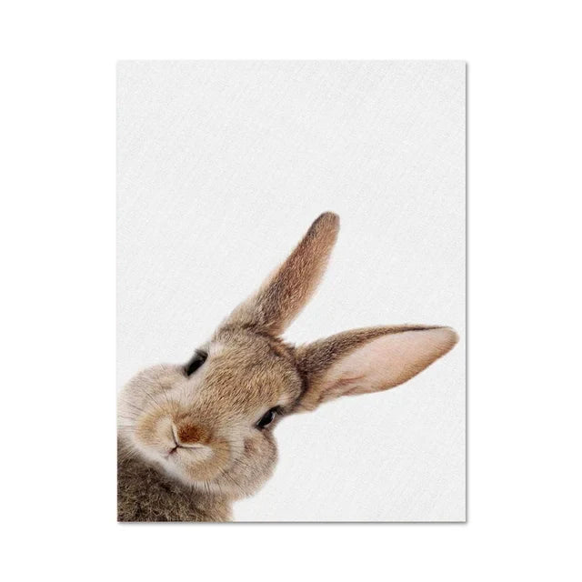 Avelena | Schöne Hasenfotos Fotografie Poster Wandkunst Fine Art Leinwanddruck Baby Tierbilder für Kinderzimmer Wanddekoration