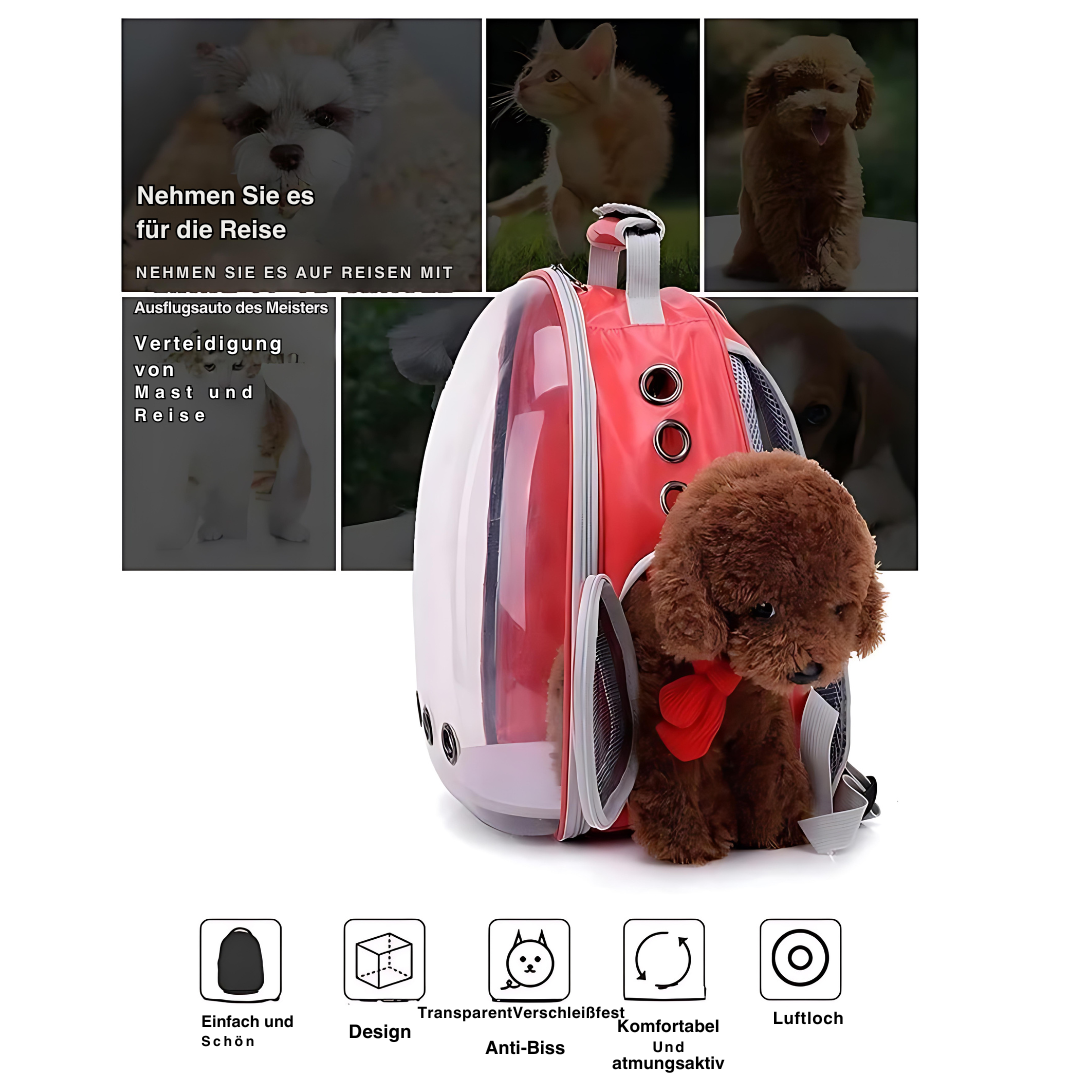Avelena | Transport Rucksack für Katzen Ihr Begleiter für Jedes Abenteuer