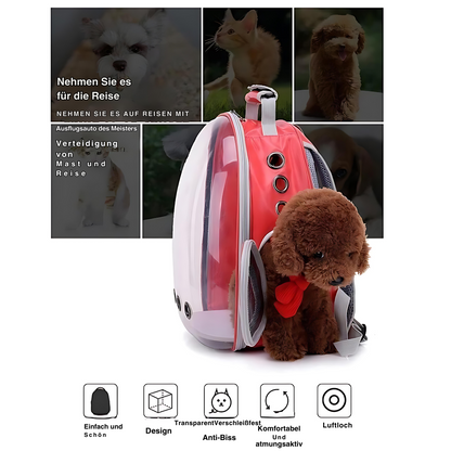 Avelena | Transport Rucksack für Katzen Ihr Begleiter für Jedes Abenteuer