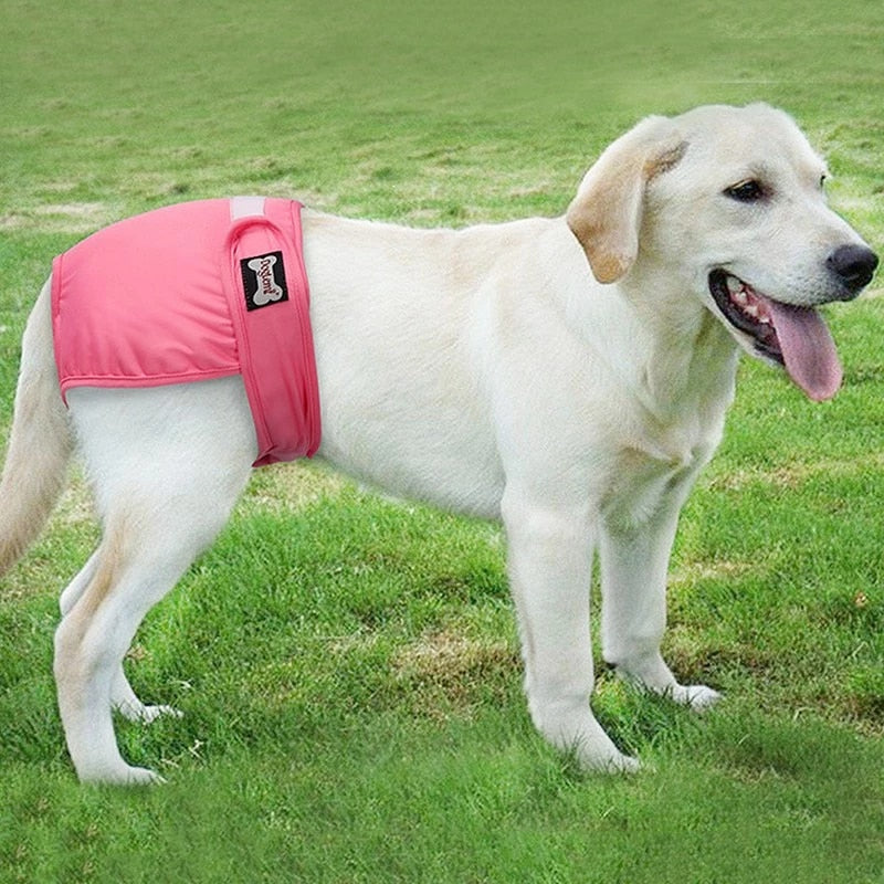 Avelena | Wagdiaper Waschbare Windeln für Hunde und Katzen - Warm