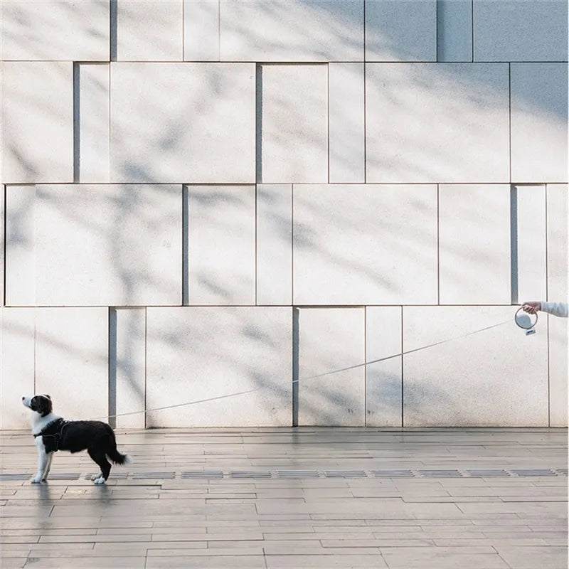 Avelena | Dynamische Konstruktion bietet volle Kontrolle während der Spaziergänge!