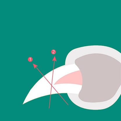 Avelena | MAX - Bester Nagelknipser für Hunde mit Schnellsensoren