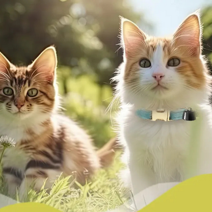 Avelena | Haustier-Tracker Mini – Intelligenter Bluetooth-Tierortungsgerät mit Halsband und Glocke