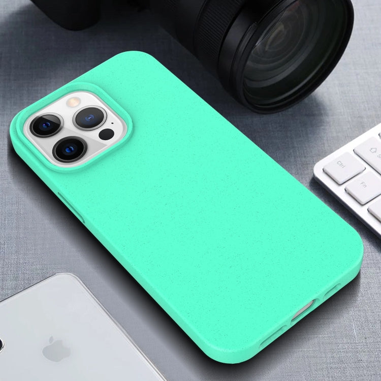 Avelena | iPhone 15 Starry Series Stoßsicheres Strohmaterial + TPU Schutzhülle - Sternenlicht