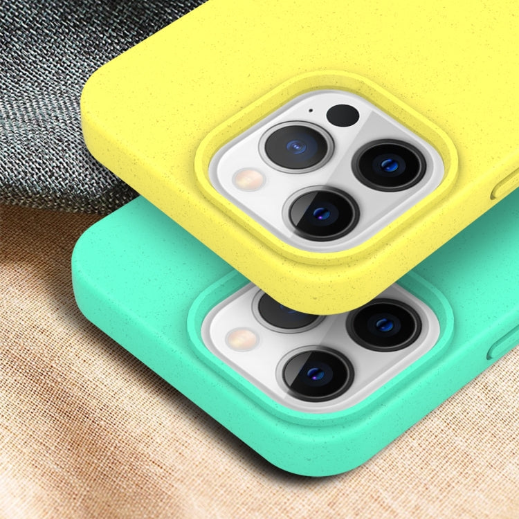 Avelena | iPhone 15 Starry Series Stoßsicheres Strohmaterial + TPU Schutzhülle - Sternenlicht