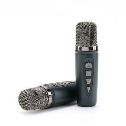 Avelena | T&G TG543 Bunter Integrierter Tragbarer Karaoke Drahtloser Bluetooth Lautsprecher (Rot)