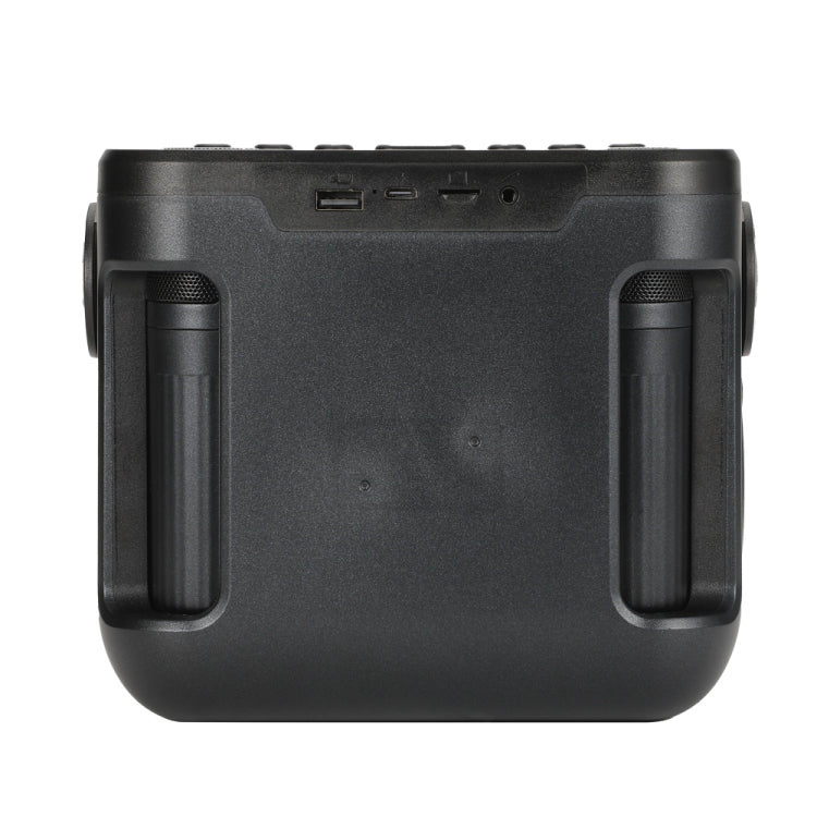 Avelena | T&G TG545DK Home Handheld Dual-Mikrofon KTV Wireless Bluetooth Lautsprecher mit Taschenlampe (Graffiti)