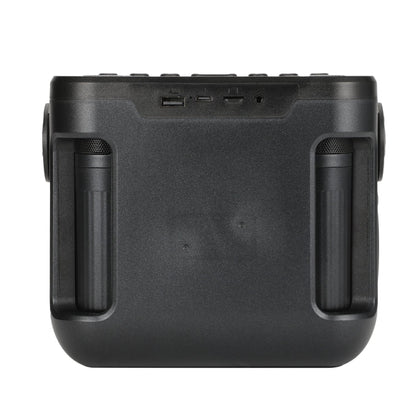 Avelena | T&G TG545DK Home Handheld Dual-Mikrofon KTV Wireless Bluetooth Lautsprecher mit Taschenlampe (Graffiti)
