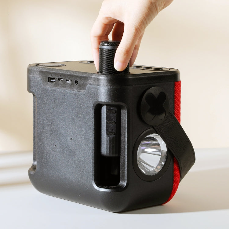 Avelena | T&G TG545DK Home Handheld Dual-Mikrofon KTV Wireless Bluetooth Lautsprecher mit Taschenlampe (Graffiti)