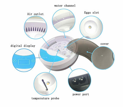 Avelena | Eierbrüter für Hühnereier Brutkasten für das Ausbrüten von Küken mit Temperaturregelung LED Hühnerbrüter