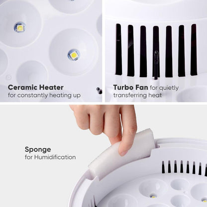 Avelena | Eierbrüter für Hühnereier Brutkasten für das Ausbrüten von Küken mit Temperaturregelung LED Hühnerbrüter