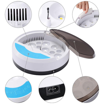 Avelena | Eierbrüter für Hühnereier Brutkasten für das Ausbrüten von Küken mit Temperaturregelung LED Hühnerbrüter