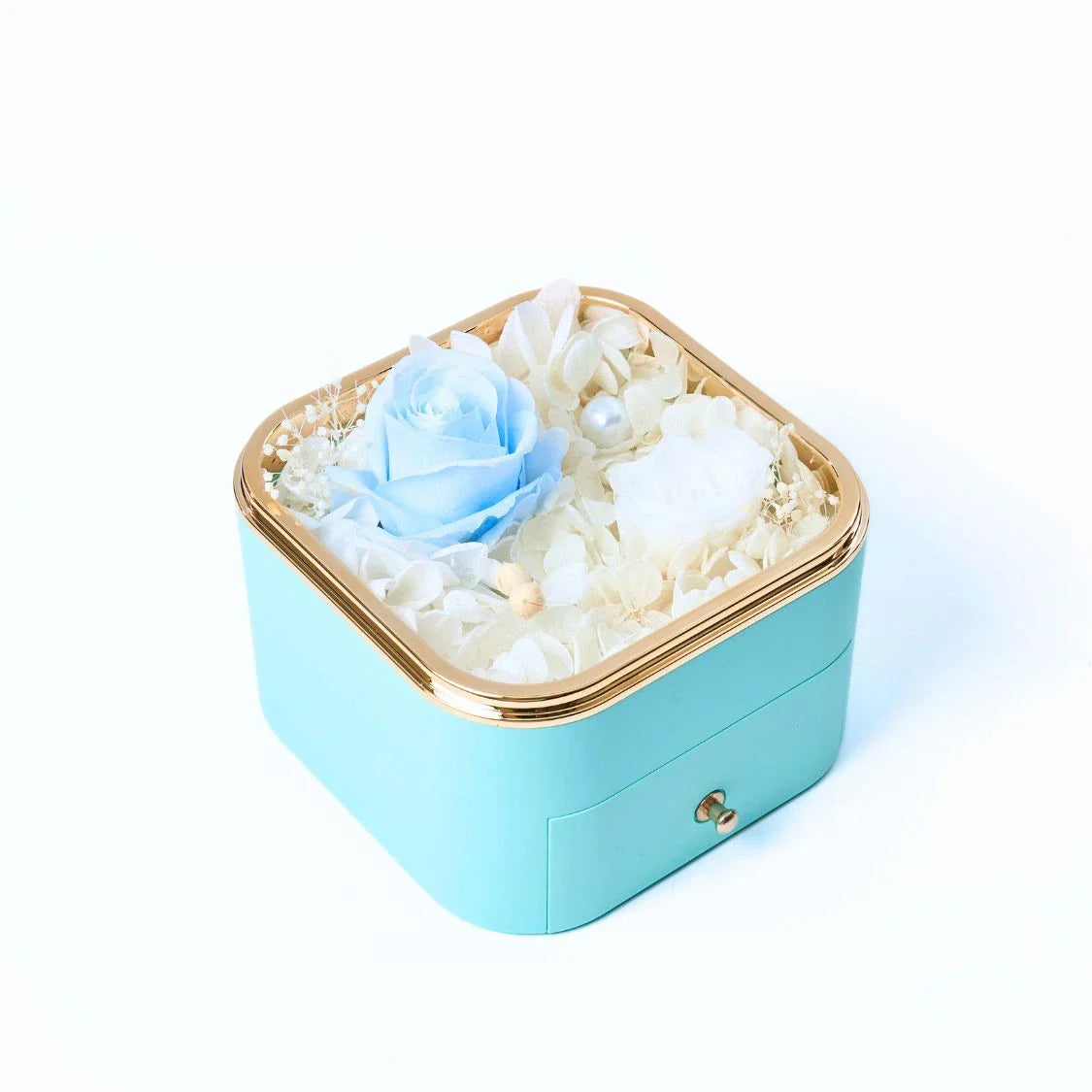 Avelena | BlühenderSchatz Ewige Freude blüht