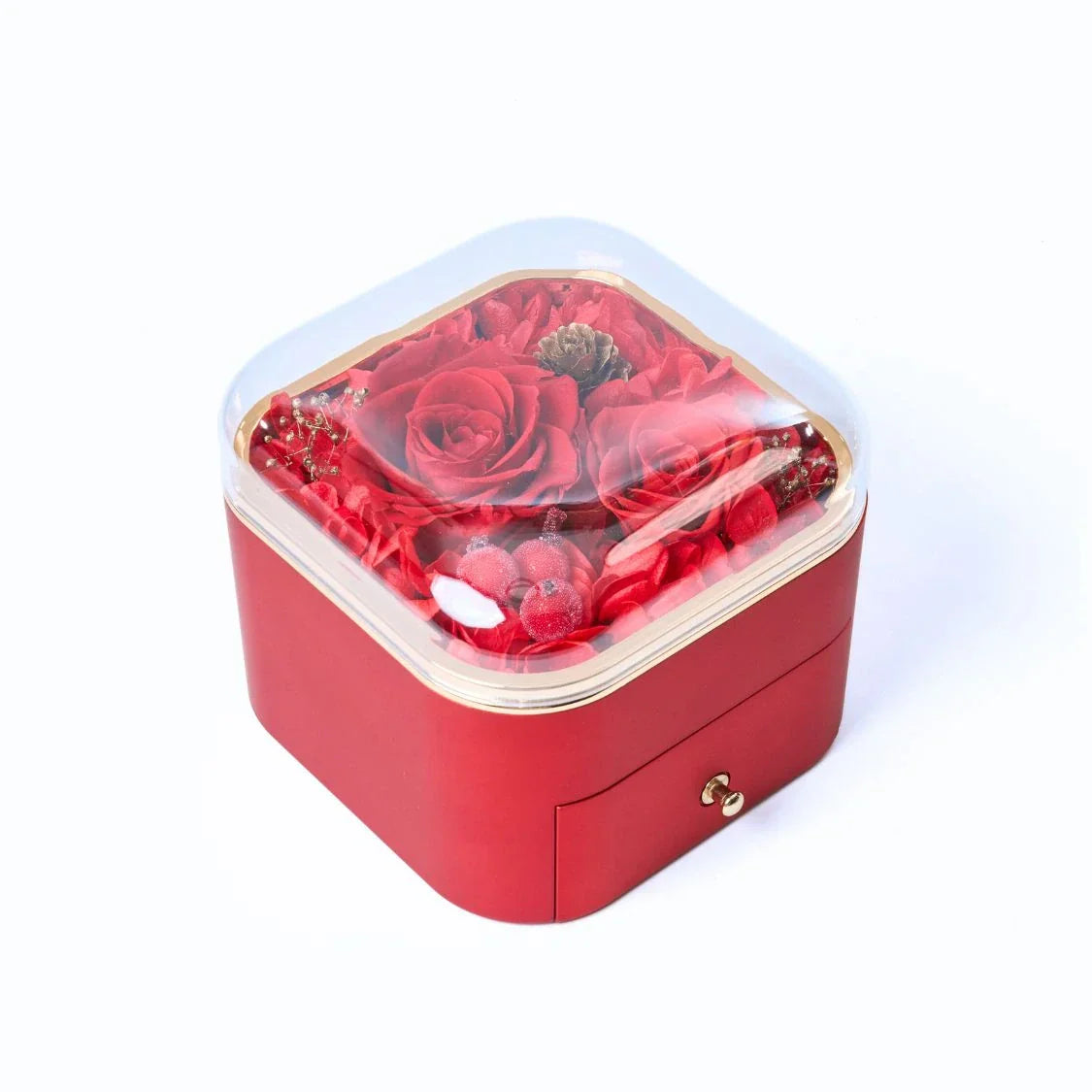 Avelena | BlühenderSchatz Ewige Freude blüht