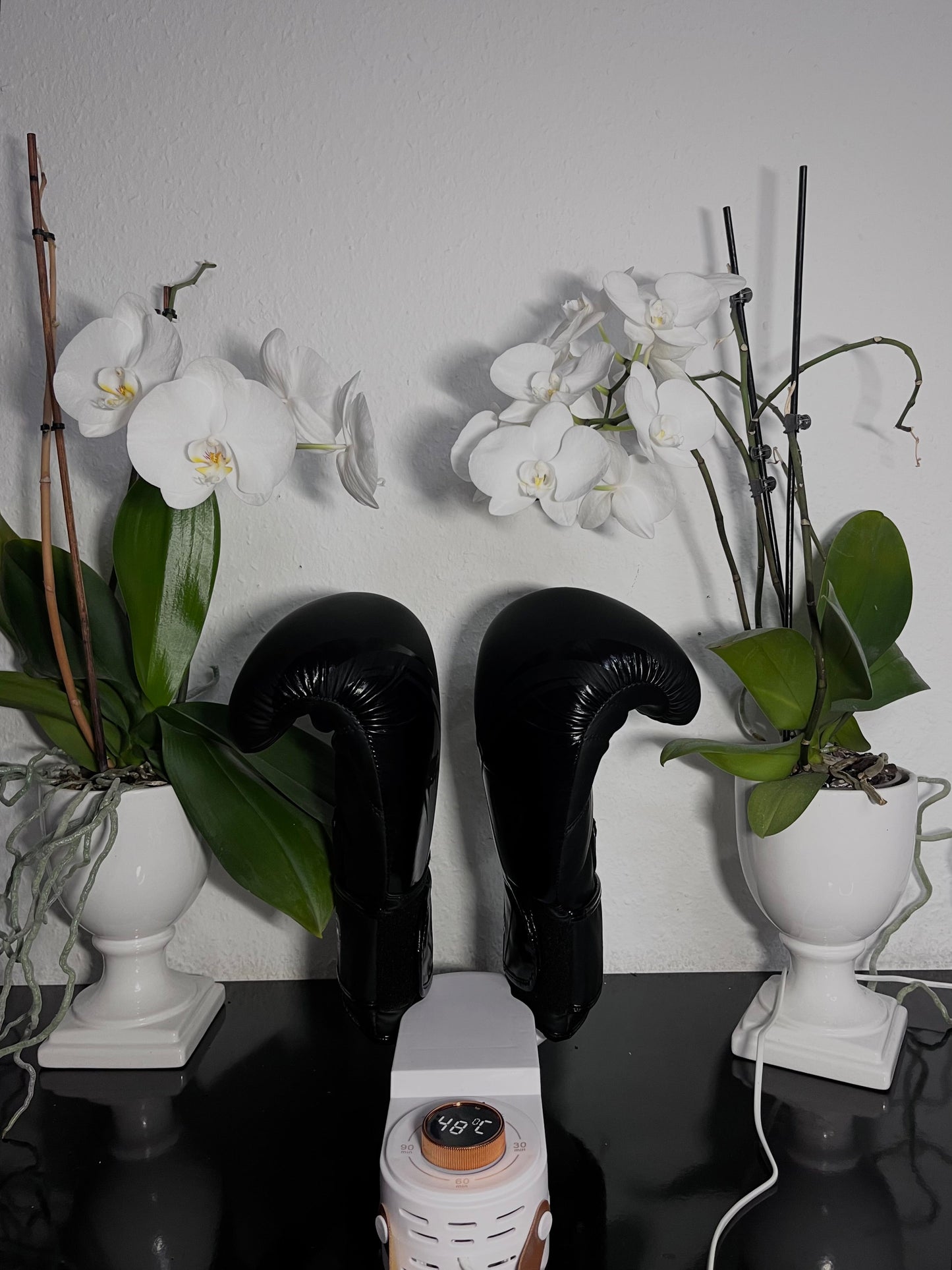 Avelena | DryKick Hygienische Schuhlösung