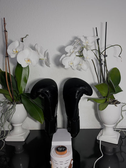 Avelena | DryKick Hygienische Schuhlösung