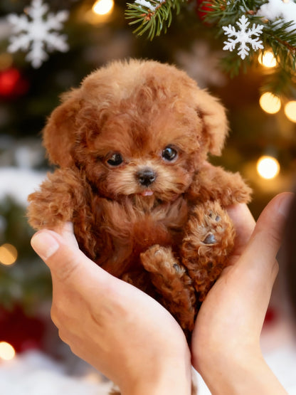 Avelena | Robotereinheit | KI-gesteuerte Bewegungen | Interaktiv