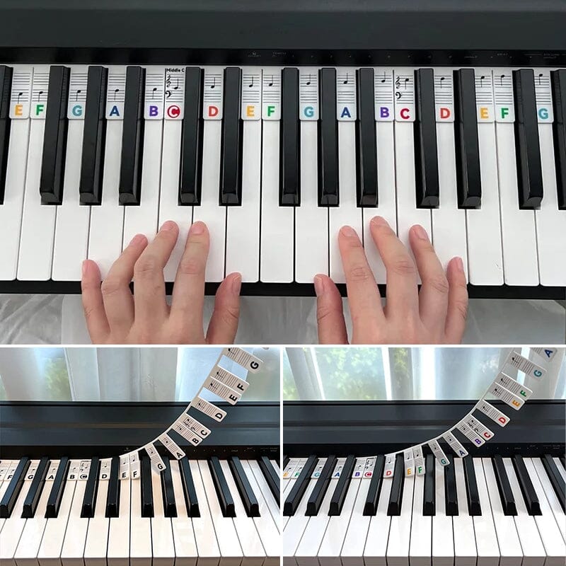 Avelena | Piano Keyboard Notenetiketten
