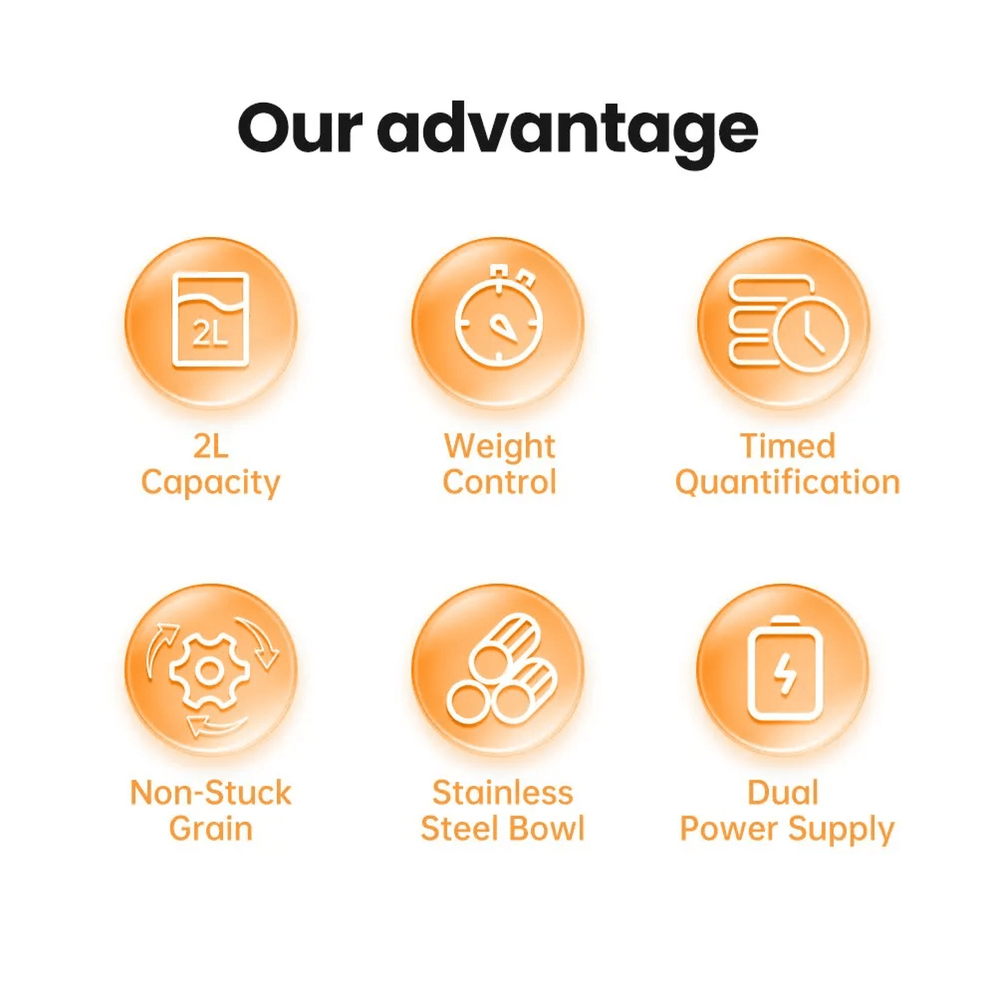 Avelena | Automatischer Hundefutterspender mit Zeitschaltuhr