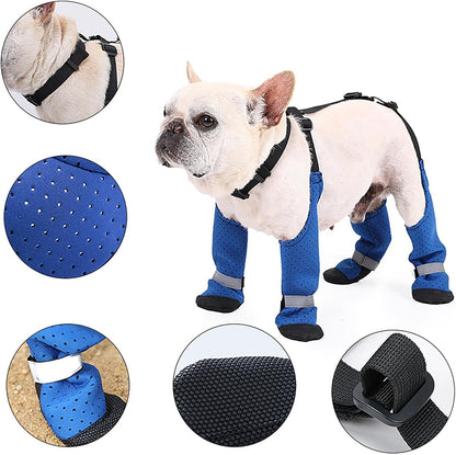 Avelena | Pawtrek Frenchie Pfoten Schützer Fleckenfestes Outdoor-Schuhe
