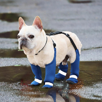 Avelena | Pawtrek Frenchie Pfoten Schützer Fleckenfestes Outdoor-Schuhe