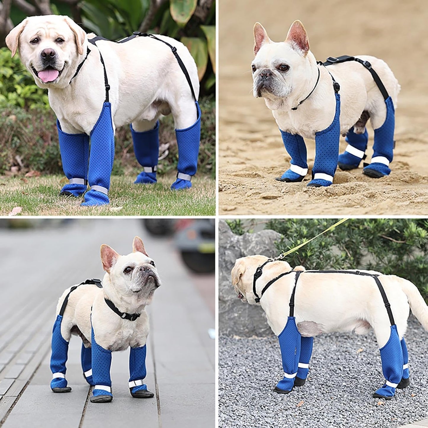 Avelena | Pawtrek Frenchie Pfoten Schützer Fleckenfestes Outdoor-Schuhe