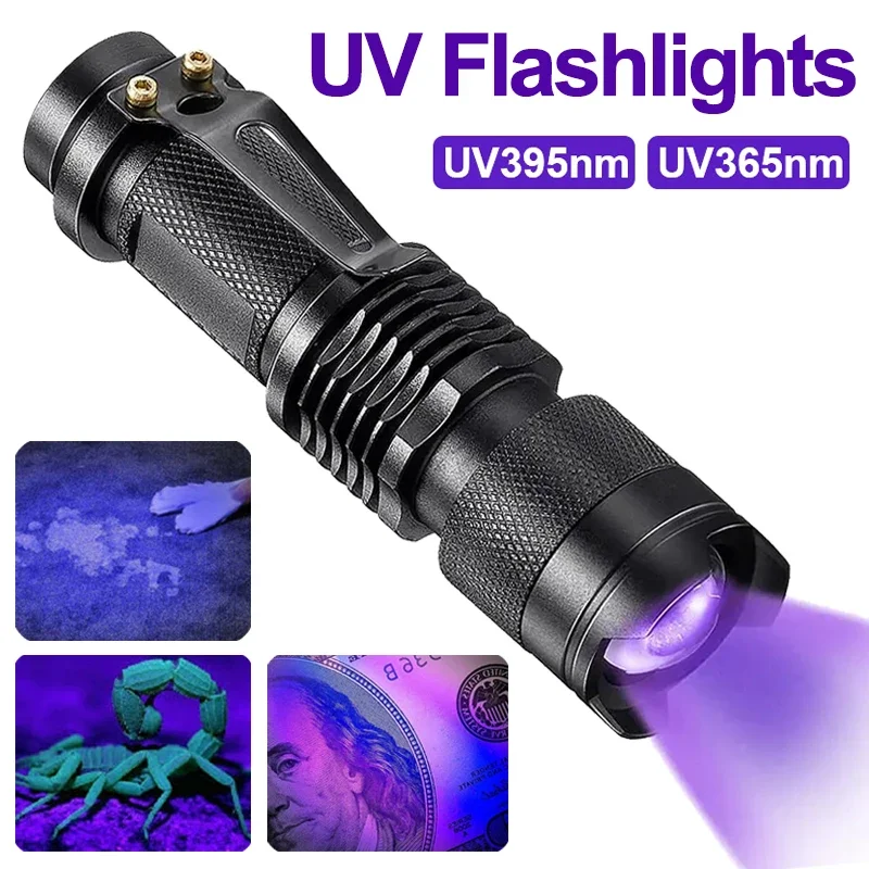 Avelena | UV Taschenlampe für Urin und Flecken