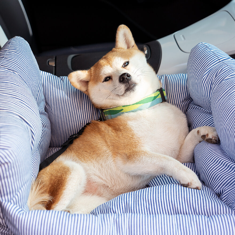 Avelena | Bequemer Hundebett für Im Auto Travelpaw