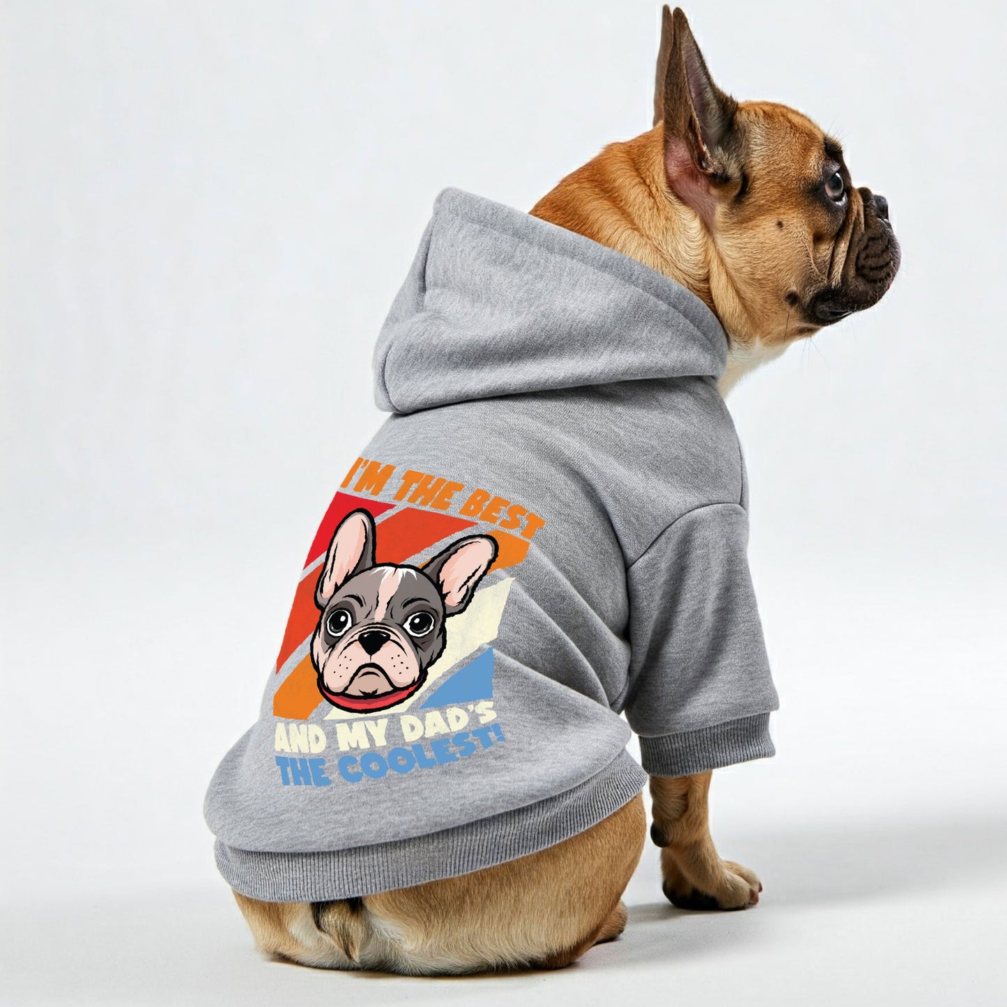 Avelena | Ich Bin Der Beste, Und Mein Papa Ist Der Coolste! Personalisierte Französische Bulldoggen-Pullover Mit Lustigen Sprüchen – Stilvoll, Gemütlich Und Premium 100% Baumwolle