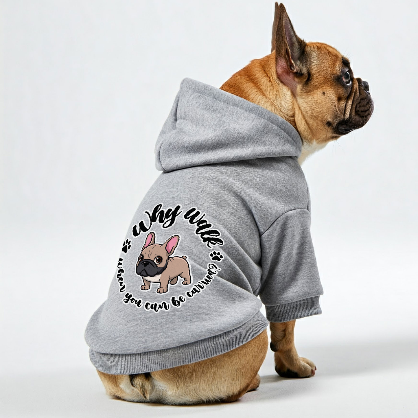 Avelena | Warum Laufen, Wenn Man Getragen Werden Kann? Personalisierte Französische Bulldoggen Hoodies Mit Lustigen Sprüchen – Stylisch, Gemütlich Und Premium 100% Baumwolle