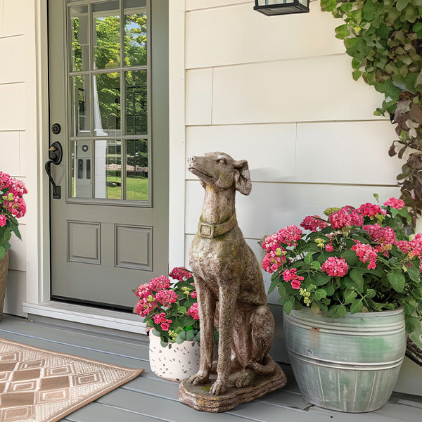 Avelena | Sitzende Greyhound Garten Statue