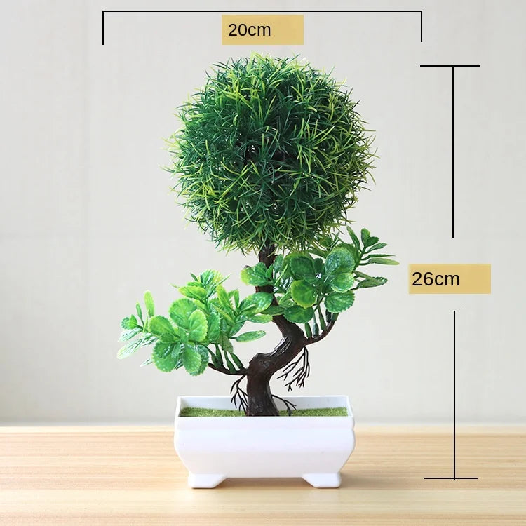 Avelena | Kleine Baumtopf Bonsai Pflanzen