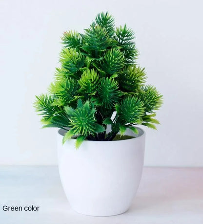 Avelena | Kleine Baumtopf Bonsai Pflanzen