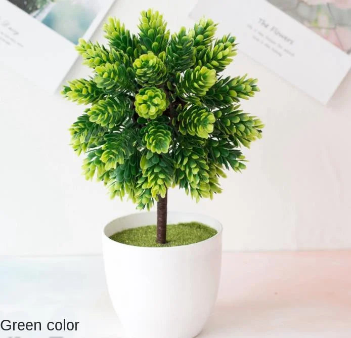 Avelena | Kleine Baumtopf Bonsai Pflanzen