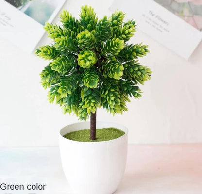 Avelena | Kleine Baumtopf Bonsai Pflanzen