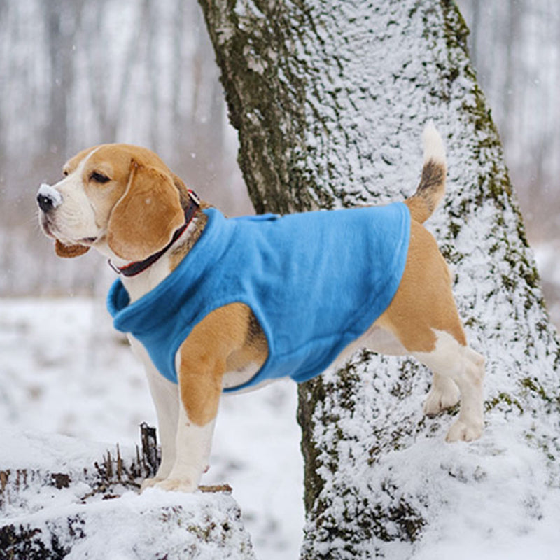 Avelena | Hundeweste Bequem und Leichtgewicht