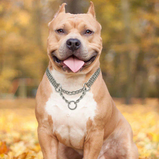 Avelena |  Edelstahl Hundetraining-Halskette