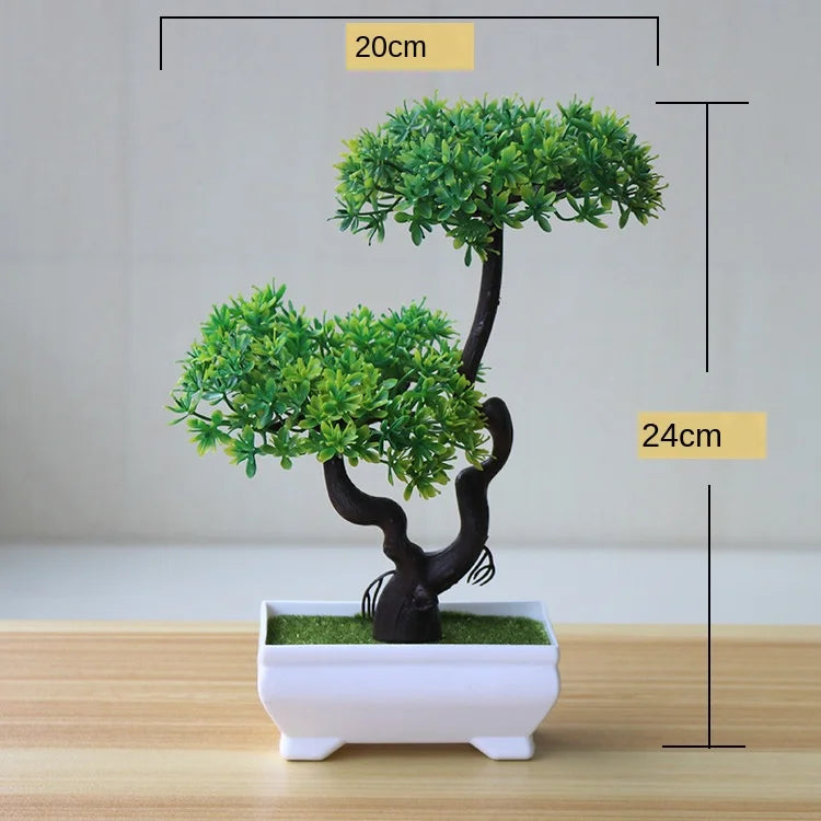 Avelena | Kleine Baumtopf Bonsai Pflanzen