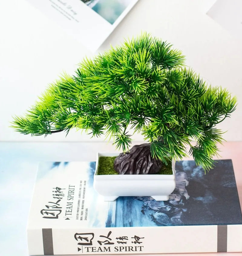 Avelena | Kleine Baumtopf Bonsai Pflanzen