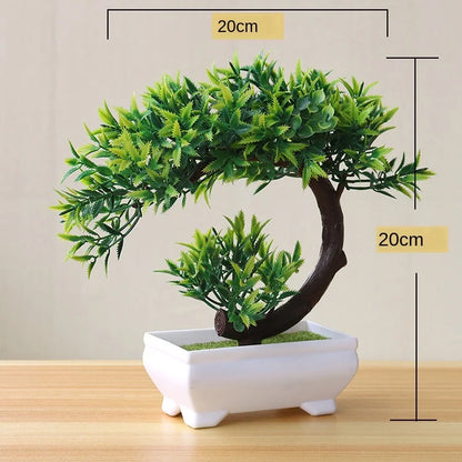 Avelena | Kleine Baumtopf Bonsai Pflanzen