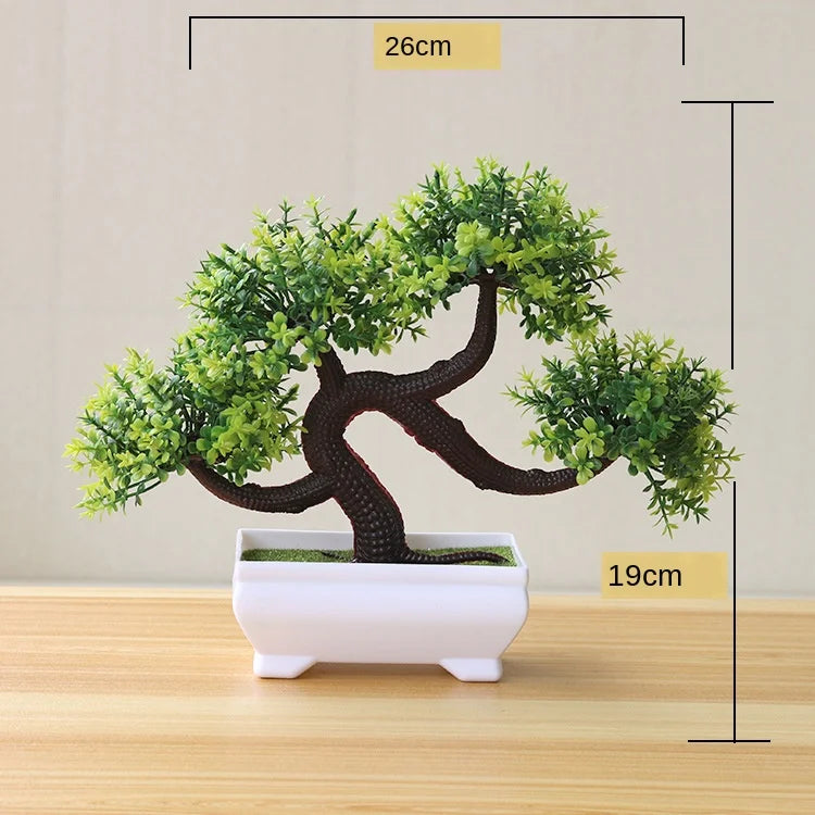 Avelena | Kleine Baumtopf Bonsai Pflanzen