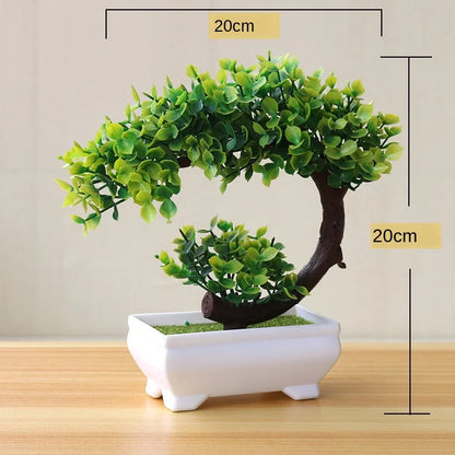 Avelena | Kleine Baumtopf Bonsai Pflanzen