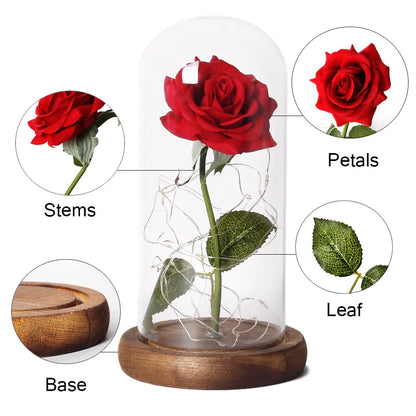 Avelena | Verzauberte Rose Für Immer