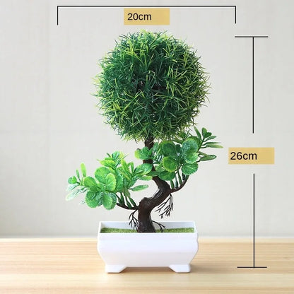 Avelena | Kleine Baumtopf Bonsai Pflanzen